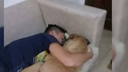 La triste historia de la perra que murió en brazos de su dueño por la pirotecnia