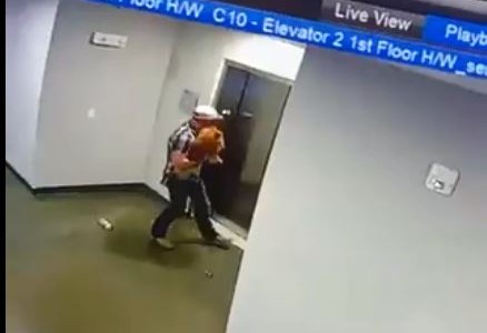 VIDEO: salvó a un perro de morir ahogado por su propia correa