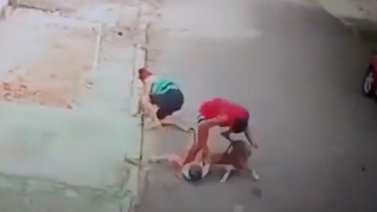 Video: un vecino salvó a un nene de 5 años cuando lo atacaba un pitbull en plena calle