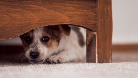 Polémica publicación del presidente de Guaraní de Posadas: "Si no te gustan los cohetes comprale orejeras"