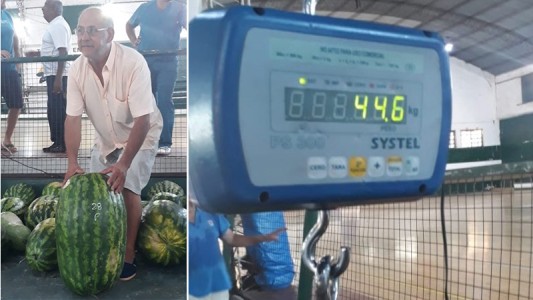 Casi 45 kilos: la sandía ganadora