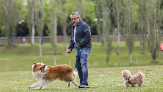 El sentido video de Alberto Fernández para celebrar el cumpleaños de Dylan