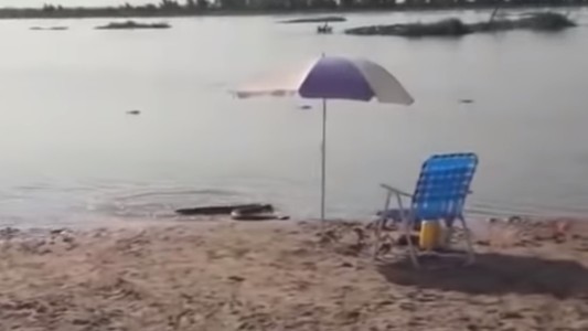 Alerta en el Litoral por aparición de anacondas