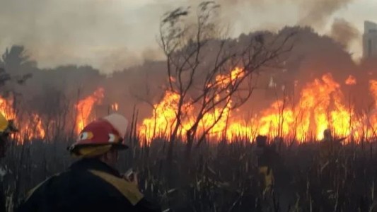 Buenos Aires: el viento hace dificultosa la tarea en el incendio de la Reserva Ecológica