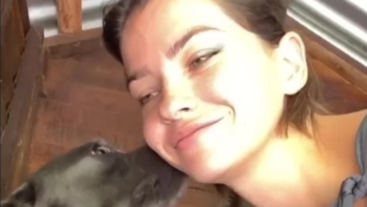 VIDEO: la China Suárez ayudó a dar a luz a su perra