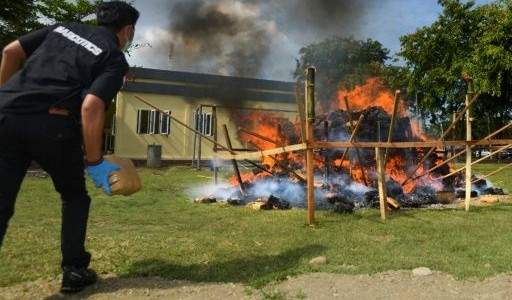 La policía quemó más de 3 toneladas de marihuana al aire libre y drogó a todo un pueblo