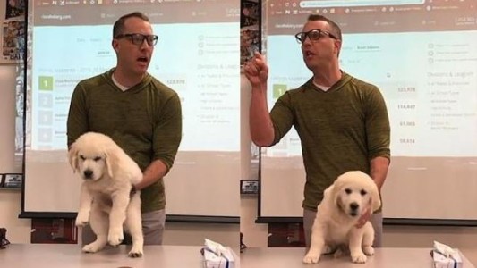 La amenaza de un profesor a sus alumnos: matar a un cachorro si no ganan un concurso