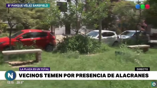 La plaza del abandono en Parque Vélez Sarsfield