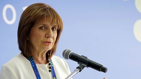Patricia Bullrich: “Con una Taser, al rugbier fortachón, violento y animal lo dejás sin recursos”