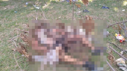 Matan a golpes a un joven e intentan prender fuego su cuerpo en un parque de Temperley