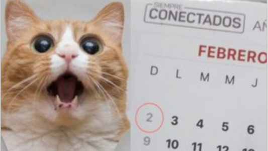 02/02/2020: domingo CAPICÚA que es furor en las redes