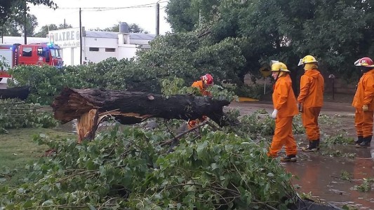 VIDEO: voladura de techos, caída de árboles y mucha lluvia en Coronel Moldes