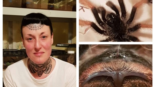 La mujer que pasó de tenerle miedo a las arañas a vivir con 35 tarántulas