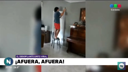 El murciélago cordobés que al intentar ser atrapado provocó gritos virales