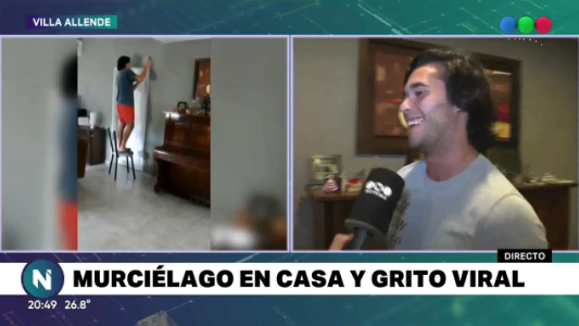 El "vampiro" cordobés: la historia detrás del video viral del murciélago que originó gritos desopilantes de una mujer