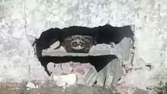 Chocó contra el muro del cementerio, se escapó y quedó un cajón a la vista