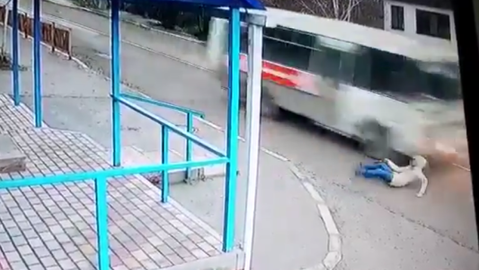 Se desmaya en la calle y se salva de ser arrollada por un micro