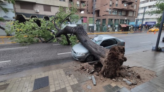 Habló el dueño del auto aplastado: "Podría haber sido una desgracia"