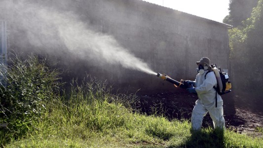 Dengue: confirmaron siete nuevos casos en Entre Ríos y ya suman 38