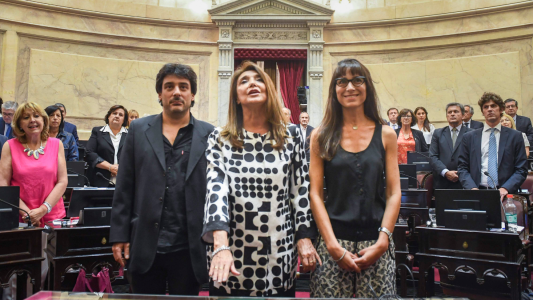 Aprobaron la designación de Marisa Graham como defensora del Niño