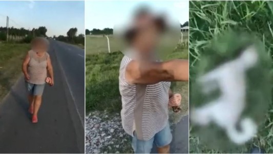 Videos: una mujer estranguló a un perro caniche que la seguía por la ruta
