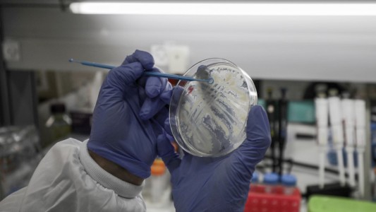 Coronavirus: Estados Unidos anuncia que tendría disponible la vacuna a principios de 2021