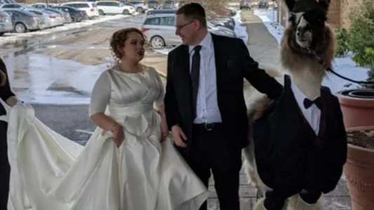 La extraña razón por la que un hombre llevó una llama al casamiento de su hermana