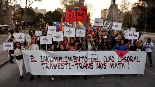 Vuelven a presentar el proyecto de ley que garantiza el cupo laboral trans en el sector público