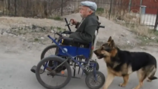 Video: el perro que acompaña a un anciano en silla de ruedas a todos lados
