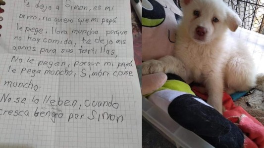Un nene abandonó a su perrito junto a sus ahorros para salvarlo de los golpes de su padre