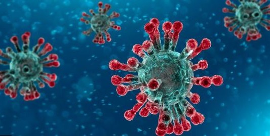 Coronavirus: qué es la carga viral y por qué afecta a la gravedad de la enfermedad