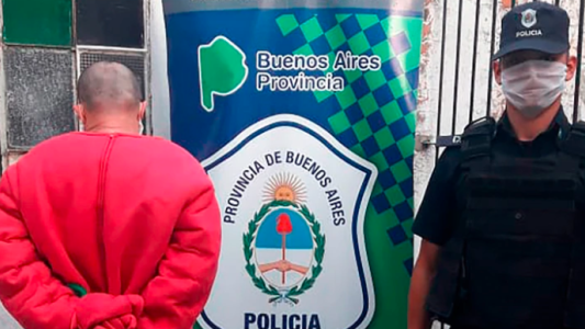 Detuvieron a un hombre que se disfrazó de Barney para violar la cuarentena