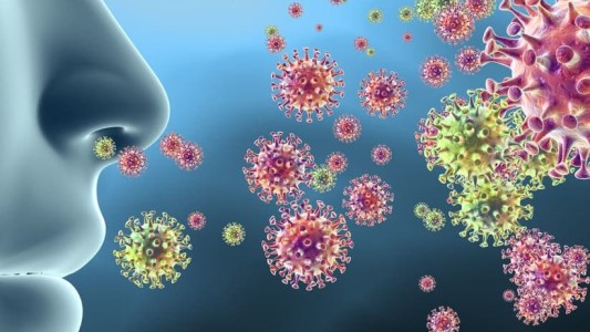 Descubren cómo actúa el coronavirus para engañar al cuerpo humano: "Un lobo con piel de cordero"