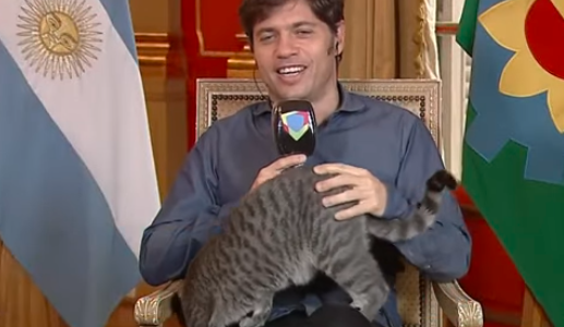 Video: la gatita que apareció en vivo en el escritorio de Axel Kicillof