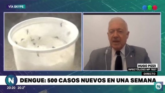 Alerta dengue: 500 nuevos casos en una semana