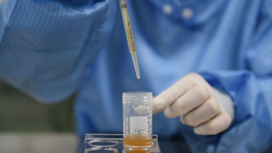 El laboratorio de biotecnología de Wuhan, en el centro de las sospechas por el origen del coronavirus