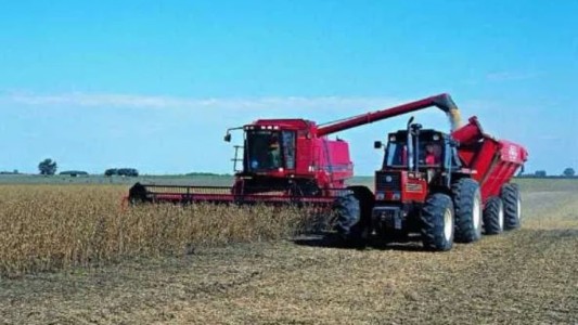 Tragedia en campo de Leones: le llevó comida a su hijo y murió aprisionado por la cosechadora