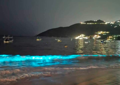 Efecto cuarentena: El mar iluminado en la noche de Acapulco