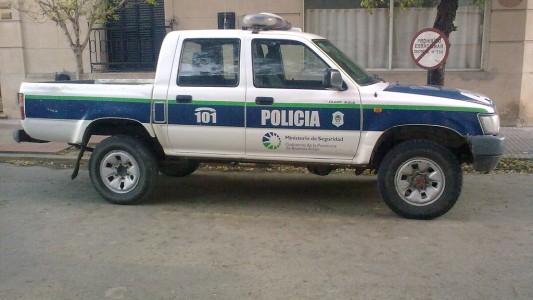 Dijeron que llevaban comida por la cuarentena para robarle a una jubilada