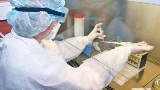 Coronavirus: científicas argentinas identifican la secuencia genética de 26 cepas