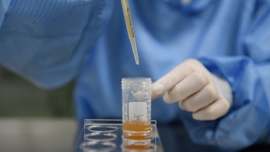 Un laboratorio chino anunció que se prepara para producir una vacuna contra el coronavirus