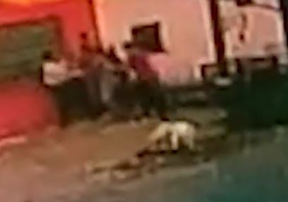 VIDEO: Golpearon brutalmente a una mujer para robarle el auto