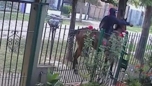 Atacante a  caballo, y con tapabocas, baleó a una persona y huyó