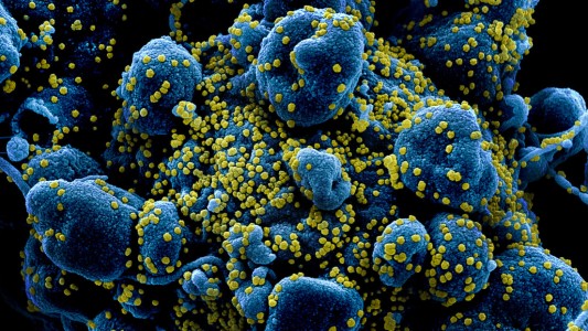Un estudio indica que el coronavirus tiene una tasa de mortalidad del 1%