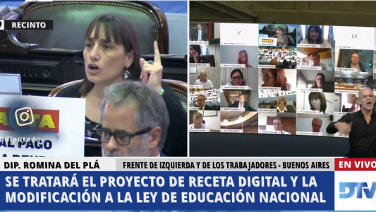 AHORA EN VIVO: sesión virtual de la Cámara de Diputados de la Nación
