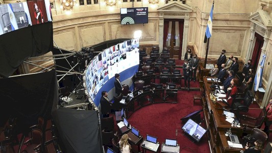 El Senado aprobó las primeras tres leyes a distancia en medio de la pandemia