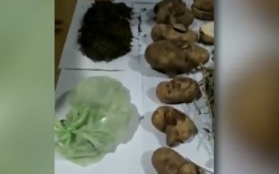 Detuvieron a un distribuidor de "papas verdes"en Tolosa: estaban rellenas con marihuana