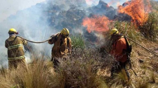 Hoy siguen con la guardia (y una copa) en alto: ¡Feliz Día del Bombero Voluntario!