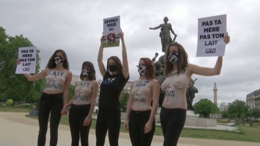 Protesta en topless contra el consumo de leche de vaca