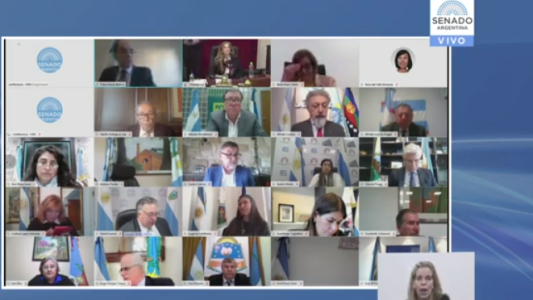EN VIVO: sesión especial remota del Senado de la Nación